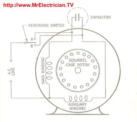 Reversible Split Phase Capacitor Run Induction Motor. CLICK THE IMAGE to see this diagram on tee shirts, mini-skirts, coffee mugs, phone cases, tote bags, stickers, and more. 