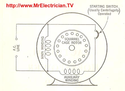 Split Phase Induction Motor Diagram