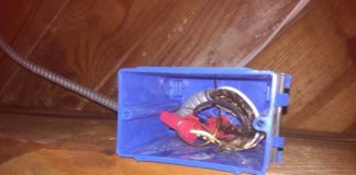 Plastic electrical box with BX and Romex Cables spliced together without ground continuity and no cover on the box